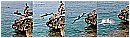14L_9092a - 143 KB