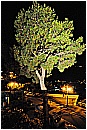 14L_9331 - 216 KB