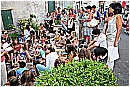 14L_9853 - 341 KB