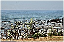 14M_0510 - 285 KB