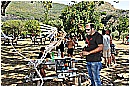 14M_0516 - 373 KB
