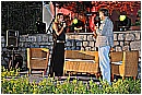14M_1537 - 278 KB
