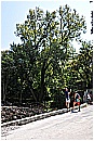 14P_3454 - 323 KB