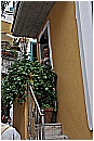 14P_3910 - 258 KB