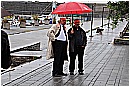14S_5539 - 239 KB