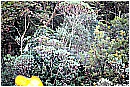 14T_5618 - 432 KB