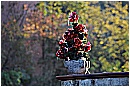 14T_5619 - 183 KB