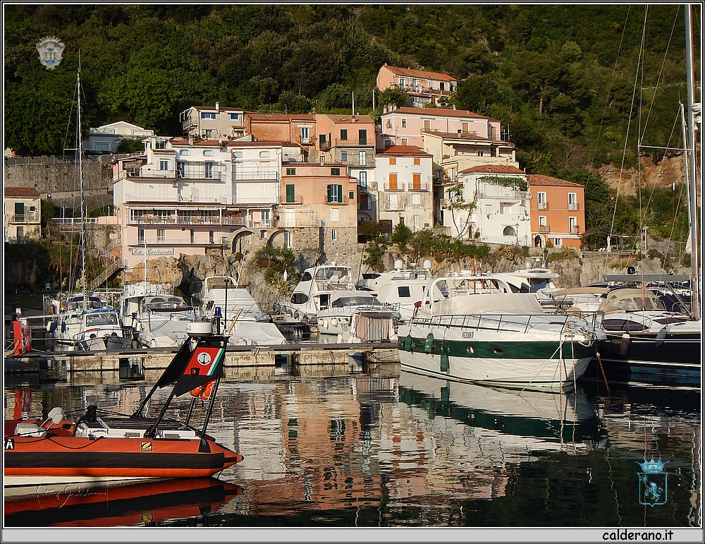 DSCN0407.JPG