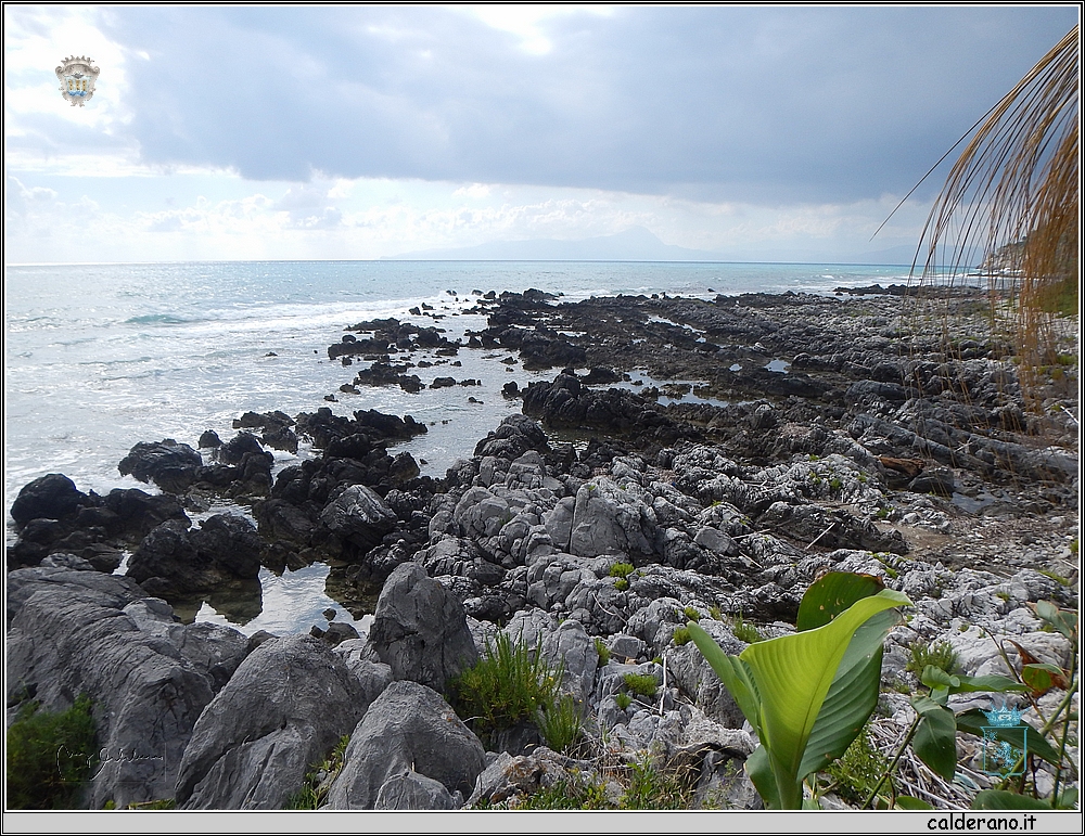 DSCN0972.JPG