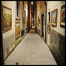 14L_8989.JPG