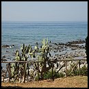 14M_0510.JPG