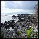 DSCN0972.JPG