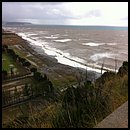 IMG_1229.JPG