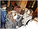 DSCN3339 - 254 KB