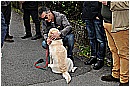 15C_0152 - 259 KB