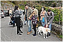 15C_0190 - 331 KB