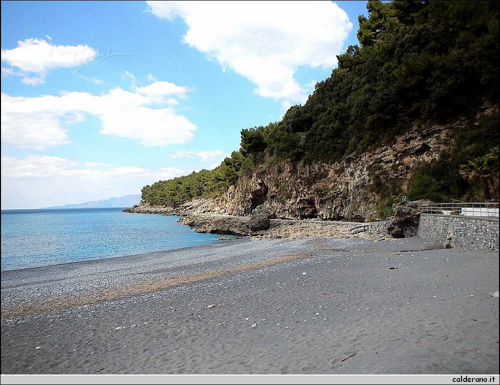DSCN3504.JPG
