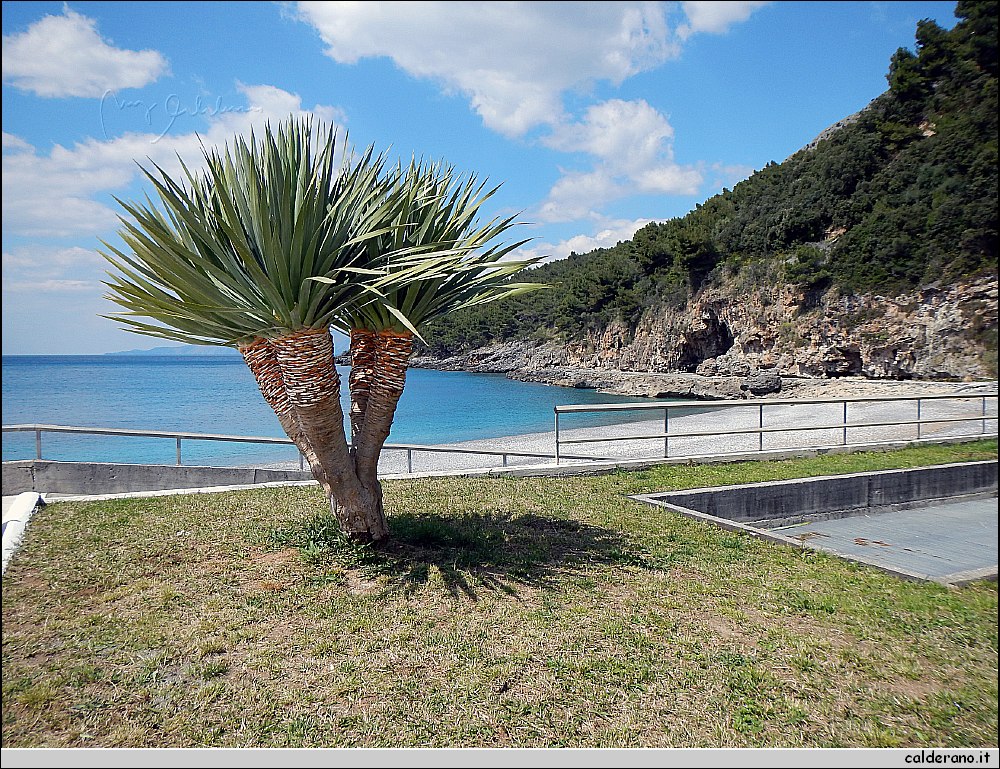 DSCN3507.JPG