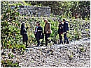 DSCN3469 - 503 KB