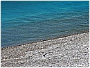 DSCN3501 - 353 KB