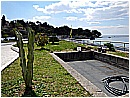 DSCN3506 - 301 KB