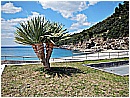 DSCN3507 - 353 KB