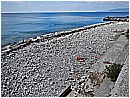 DSCN3513 - 376 KB