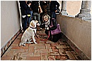 15E_0667 - 181 KB