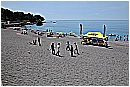 15F_1059 - 219 KB