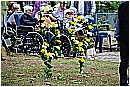 15F_1522 - 295 KB