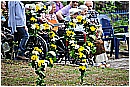 15F_1523 - 275 KB