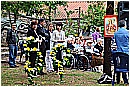 15F_1537 - 339 KB