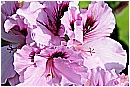 15F_3556 - 123 KB