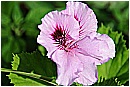 15F_3557 - 123 KB
