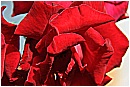 15F_3558 - 103 KB