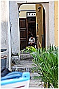 15H_3694 - 138 KB