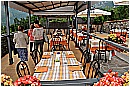 15H_4279 - 271 KB