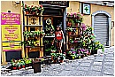 15H_4335 - 315 KB