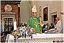 15H_4388 - 223 KB