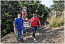 15H_4900 - 369 KB