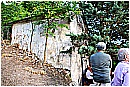15H_4937 - 394 KB
