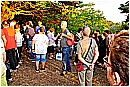 15H_4969 - 317 KB