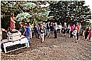 15H_4991 - 346 KB
