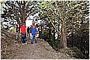 15H_4996 - 357 KB