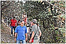 15H_4997 - 302 KB