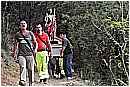 15H_4999 - 261 KB