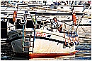 15H_5242 - 263 KB