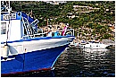 15H_5295 - 262 KB