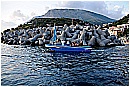 15H_5296 - 258 KB