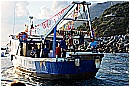 15H_5297 - 237 KB